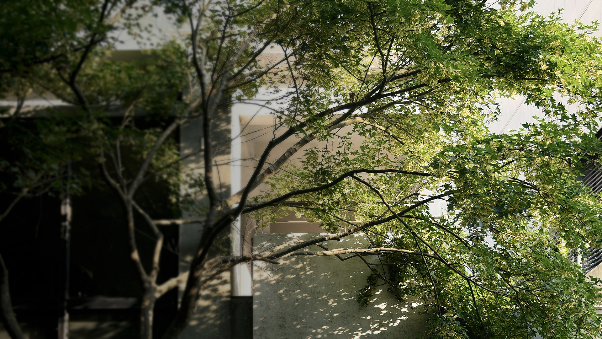 禾林理念建築綠意空間