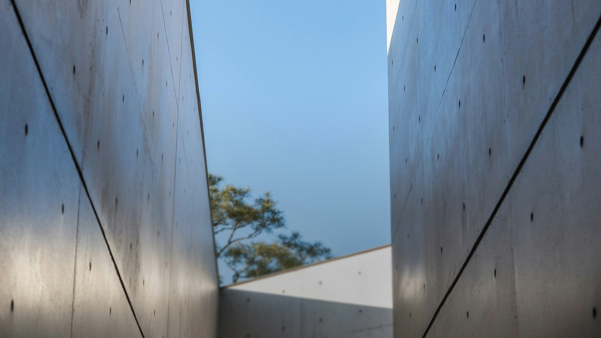 禾林沿革建築空間