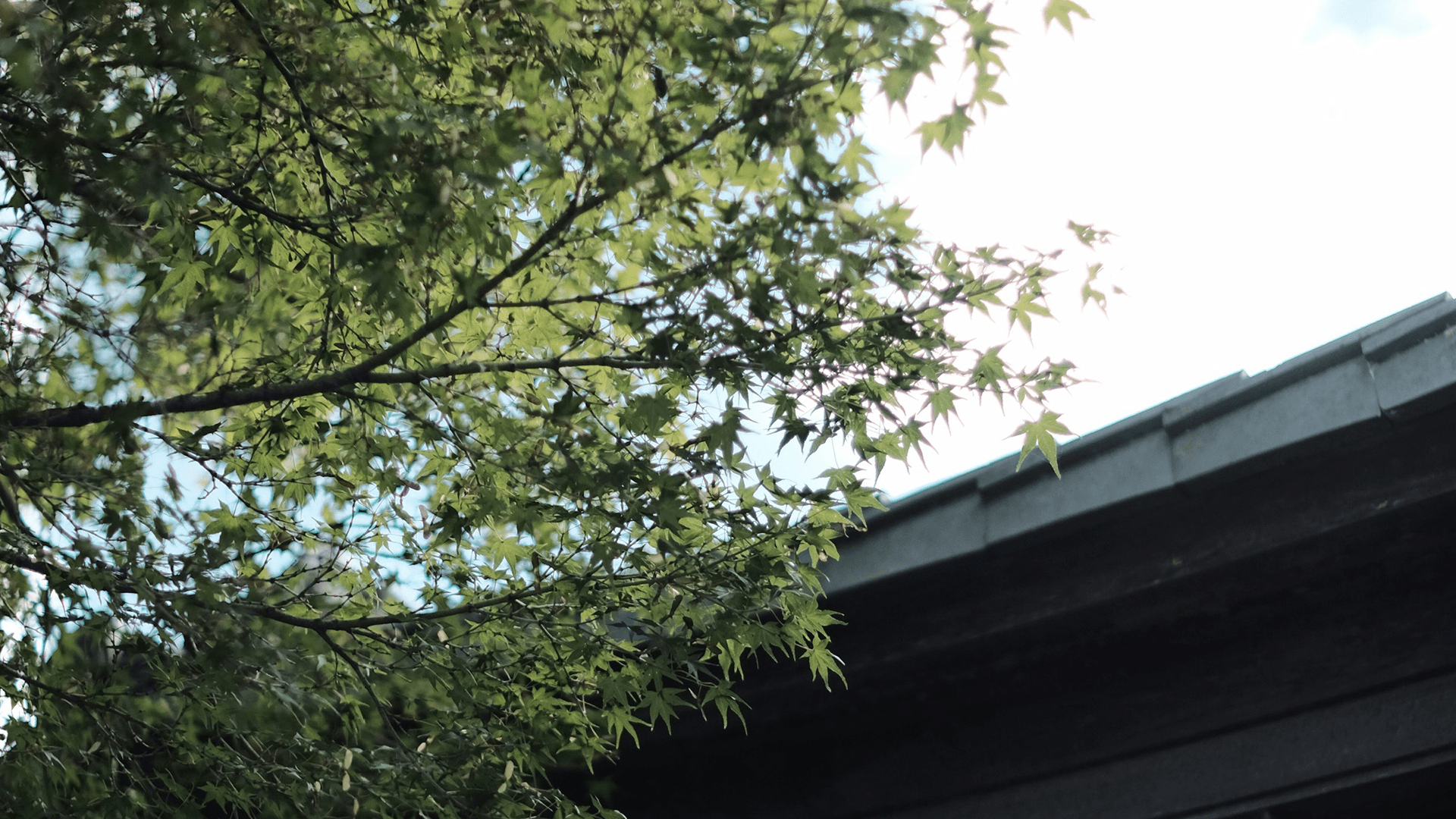 禾林建築